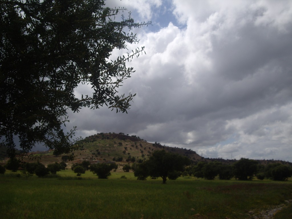On the way to Arazane - The Argan forest