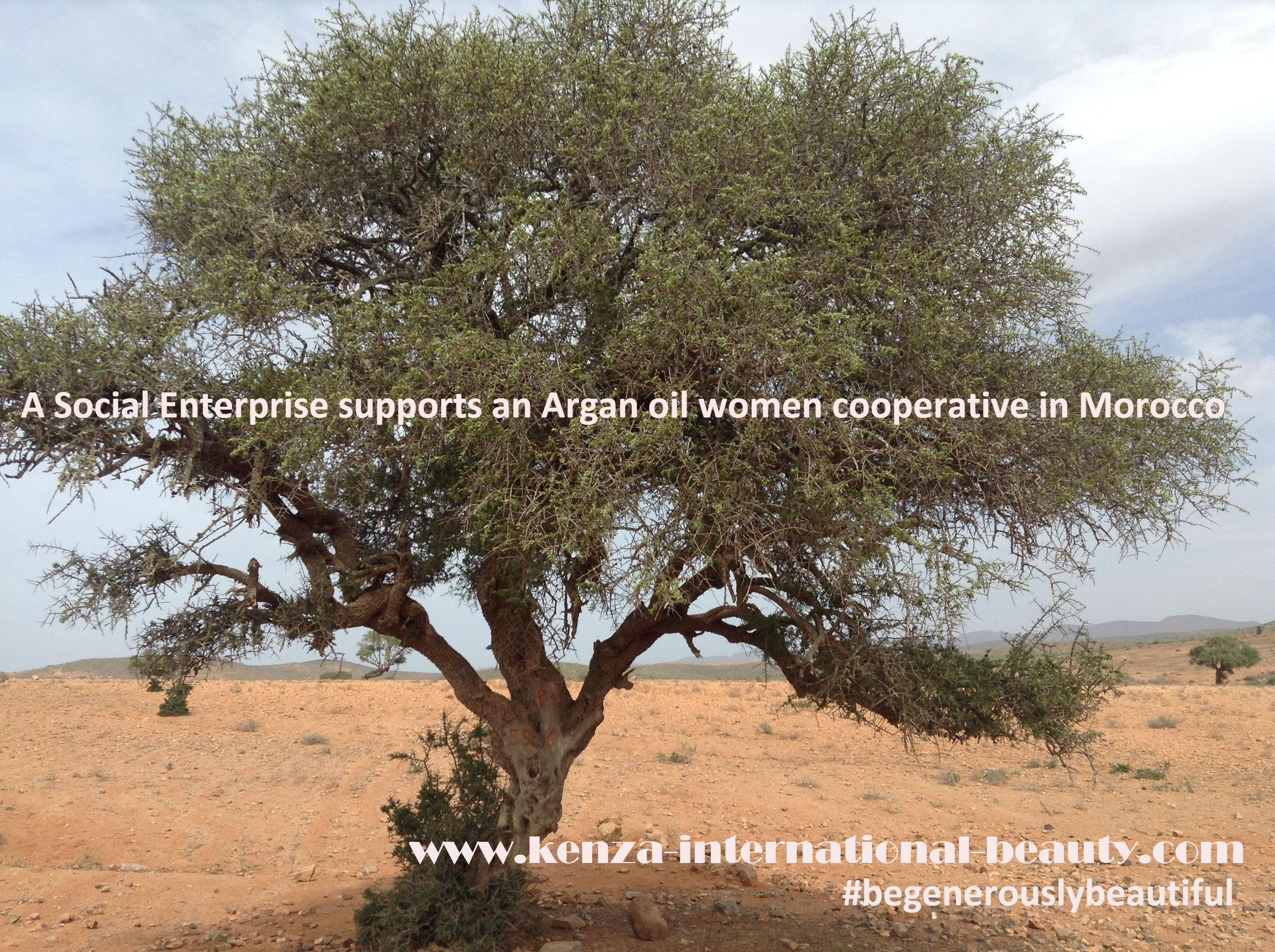 A Social Enterprise supports an Argan oil women cooperative in Morocco