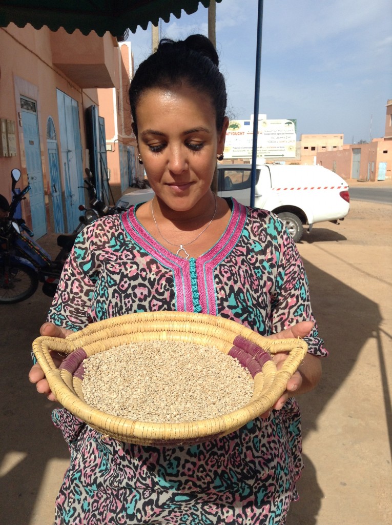 Prickly Pear Seeds