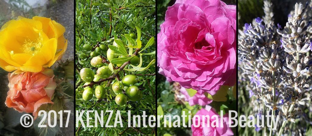 Natural Beauty ©2017 Kenza International Beauty