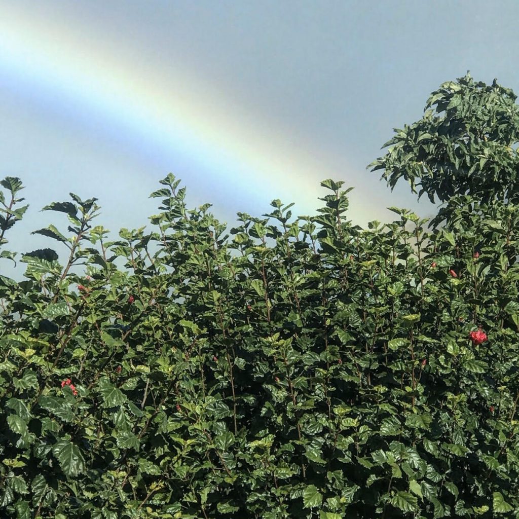 Rainbow in Costa Rica
