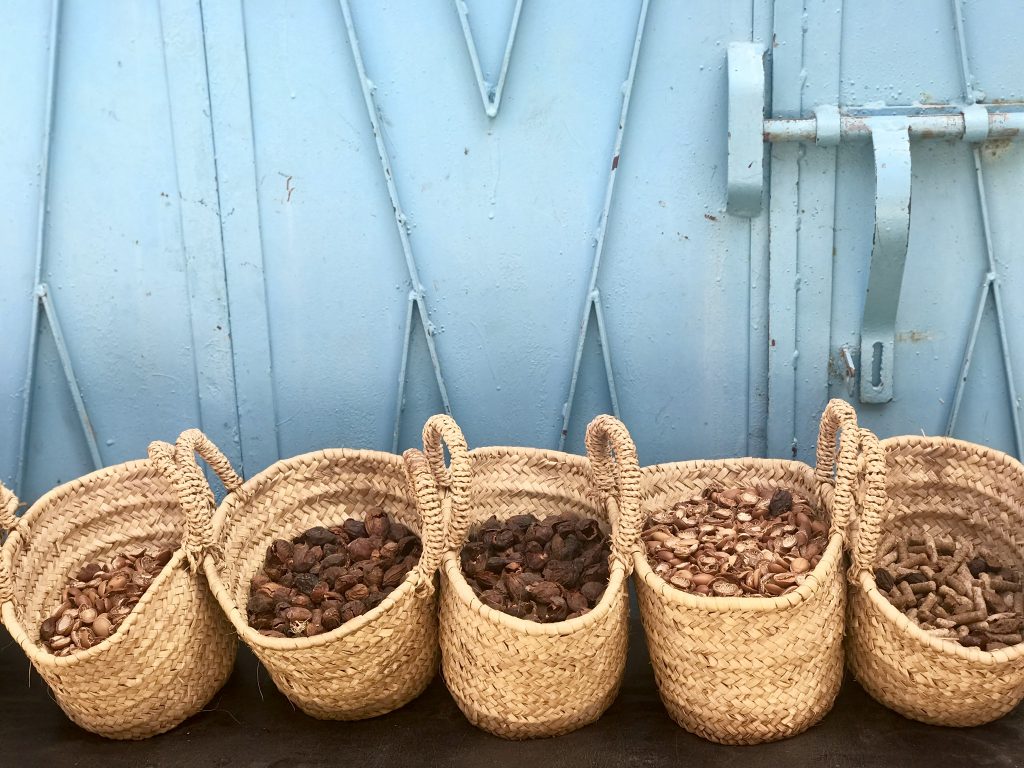 Argan Nuts in Baskets Taroudant by KENZA International Beauty