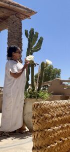 Wellness Beauty Travel La Maison Du Desert Agafay Marrakech Morocco Kenza International Beauty (1)