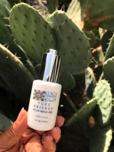 Nurture Your Skin Naturally With Prickly Pear Seed Oil