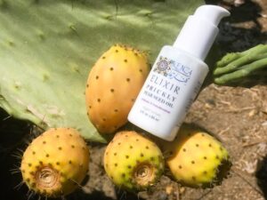 Nurture Your Skin Naturally With Prickly Pear Seed Oil Cactus